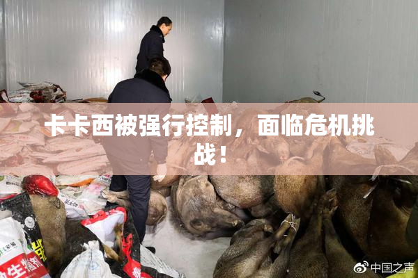 卡卡西被强行控制，面临危机挑战！