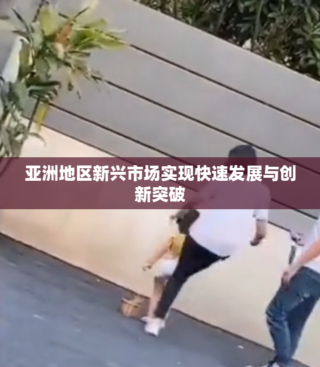 亚洲地区新兴市场实现快速发展与创新突破