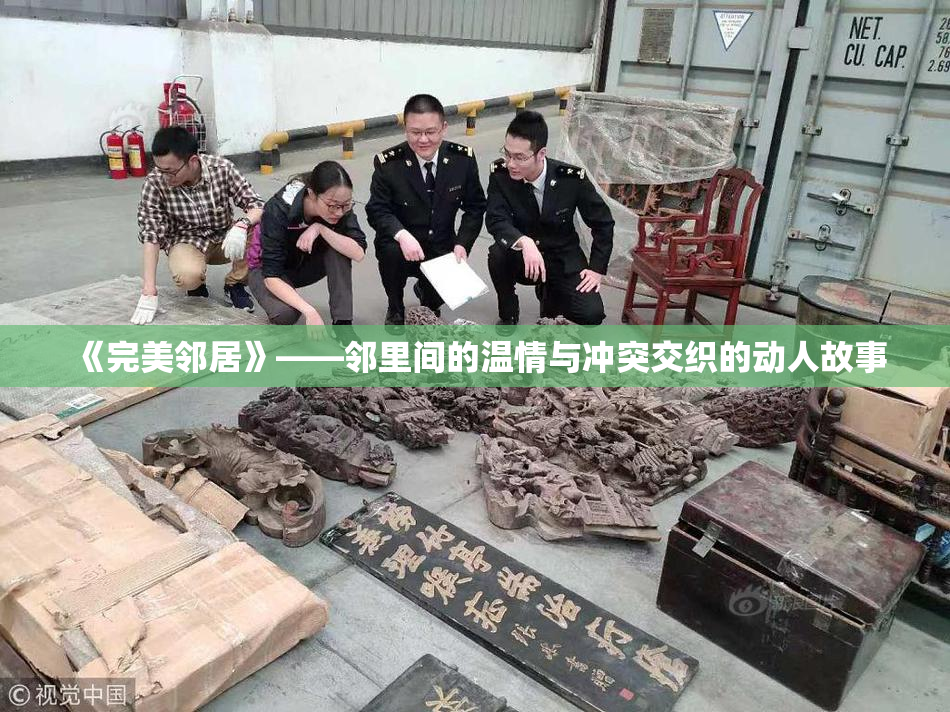 《完美邻居》——邻里间的温情与冲突交织的动人故事