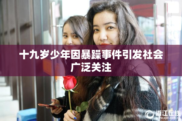 十九岁少年因暴躁事件引发社会广泛关注