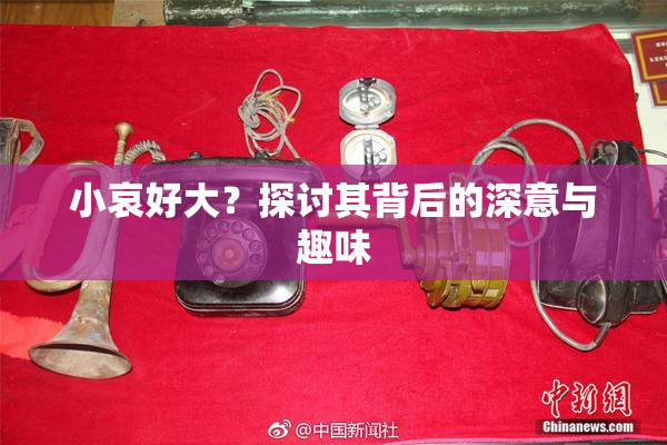 小哀好大？探讨其背后的深意与趣味