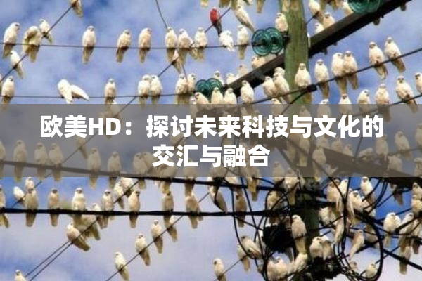 欧美HD：探讨未来科技与文化的交汇与融合