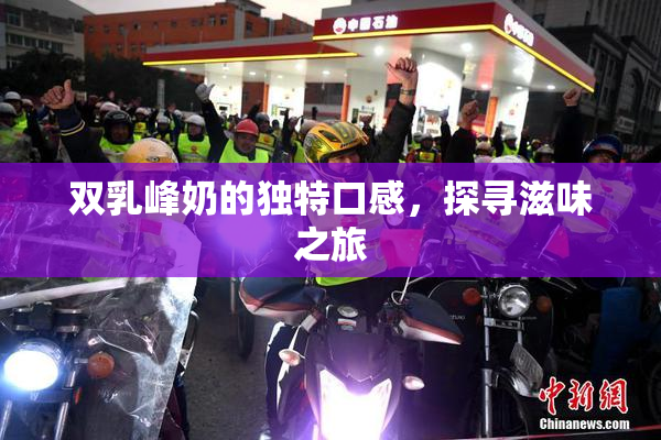 双乳峰奶的独特口感，探寻滋味之旅