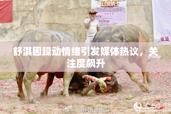 舒淇因躁动情绪引发媒体热议，关注度飙升