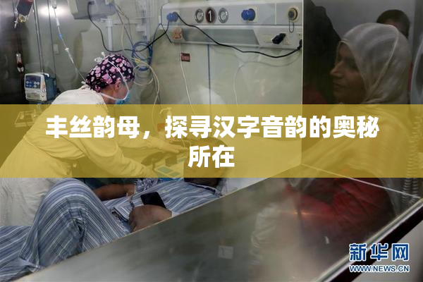 丰丝韵母，探寻汉字音韵的奥秘所在