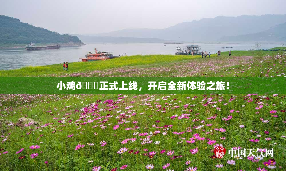 小鸡🐔正式上线，开启全新体验之旅！