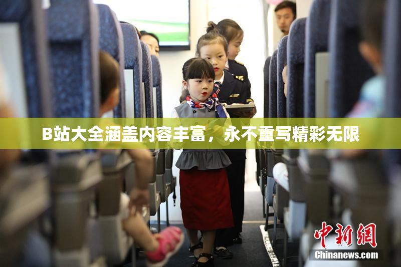 B站大全涵盖内容丰富，永不重写精彩无限
