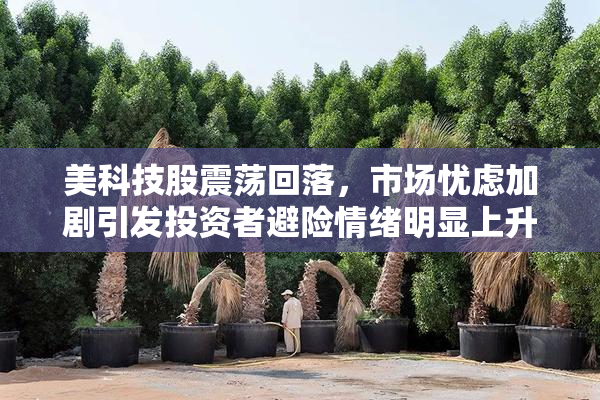 美科技股震荡回落，市场忧虑加剧引发投资者避险情绪明显上升