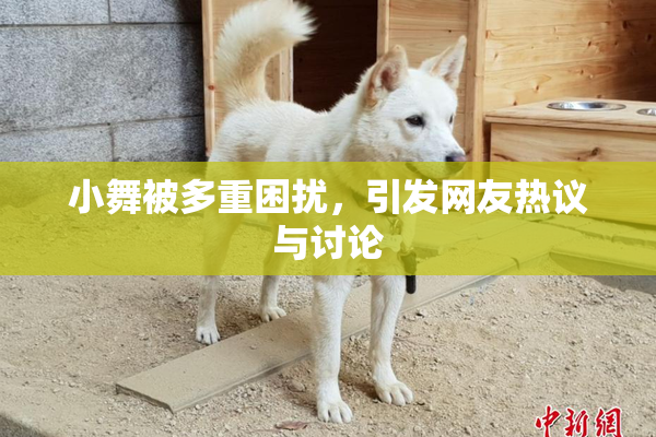 小舞被多重困扰，引发网友热议与讨论