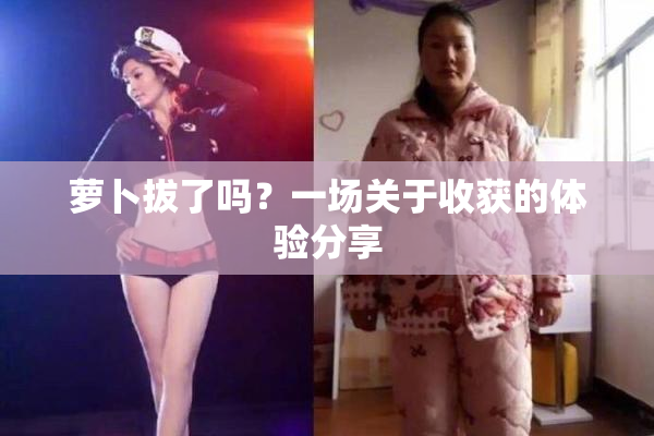 萝卜拔了吗？一场关于收获的体验分享