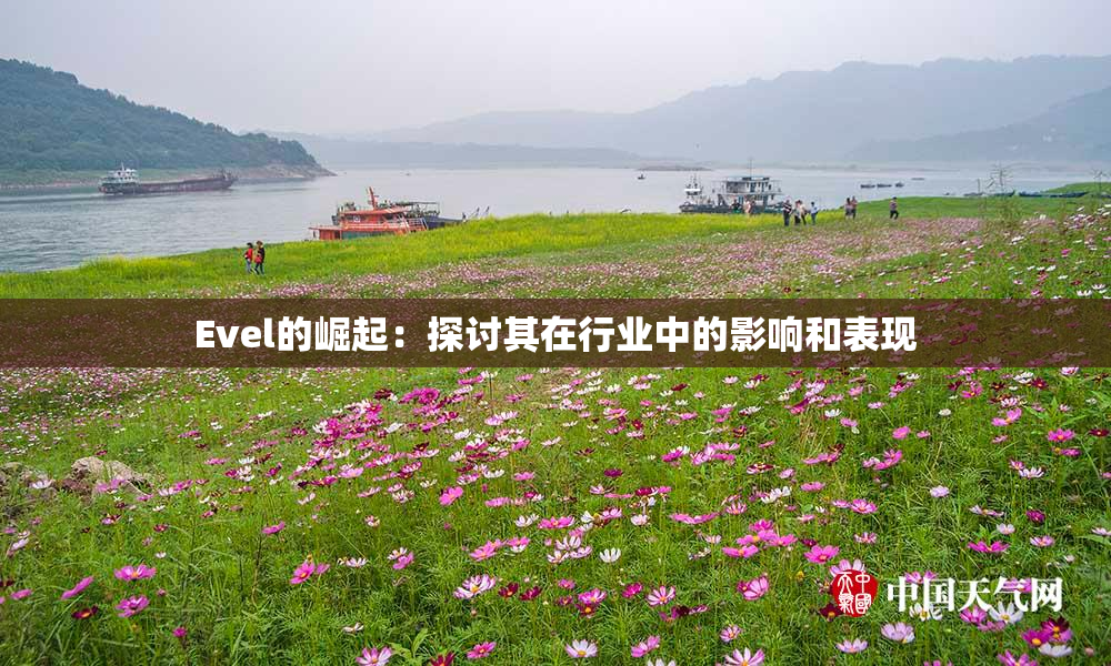 Evel的崛起：探讨其在行业中的影响和表现