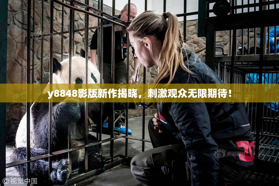 y8848影版新作揭晓，刺激观众无限期待！
