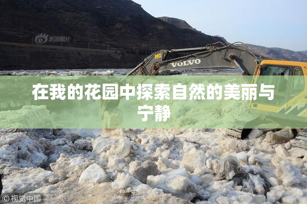 在我的花园中探索自然的美丽与宁静