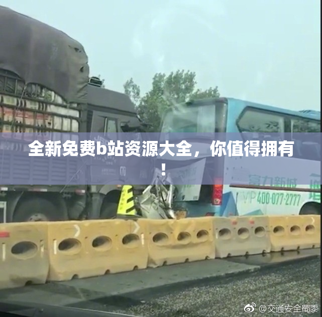 全新免费b站资源大全，你值得拥有！