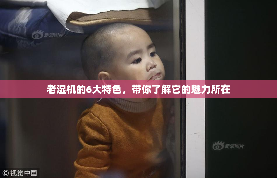 老湿机的6大特色，带你了解它的魅力所在