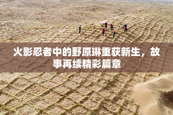 火影忍者中的野原琳重获新生，故事再续精彩篇章
