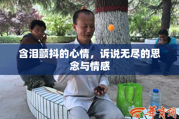 含泪颤抖的心情，诉说无尽的思念与情感