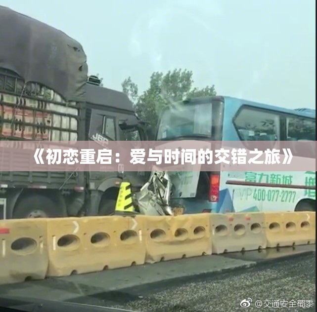 《初恋重启：爱与时间的交错之旅》