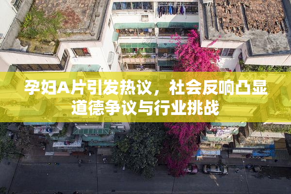 孕妇A片引发热议，社会反响凸显道德争议与行业挑战