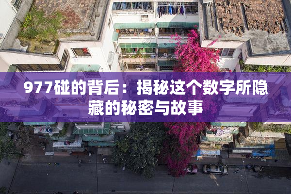 977碰的背后：揭秘这个数字所隐藏的秘密与故事