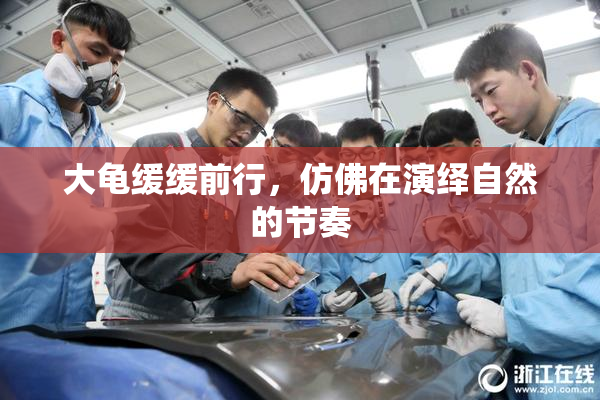 大龟缓缓前行，仿佛在演绎自然的节奏