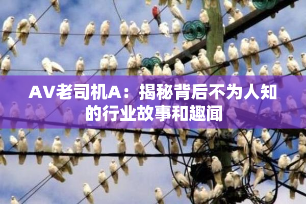 AV老司机A：揭秘背后不为人知的行业故事和趣闻