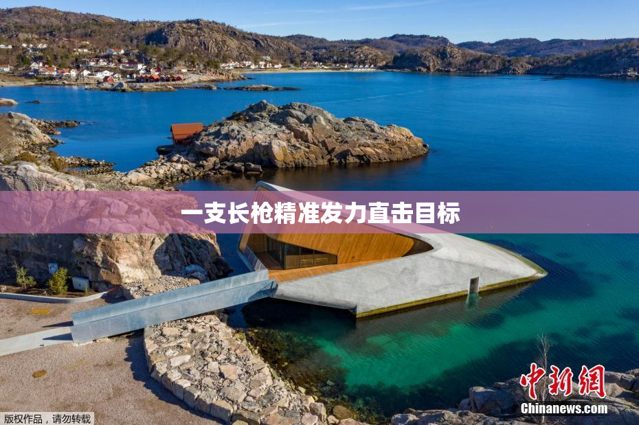 一支长枪精准发力直击目标