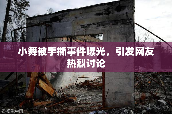小舞被手撕事件曝光，引发网友热烈讨论