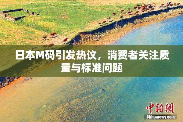 日本M码引发热议，消费者关注质量与标准问题