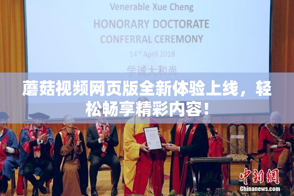 蘑菇视频网页版全新体验上线，轻松畅享精彩内容！