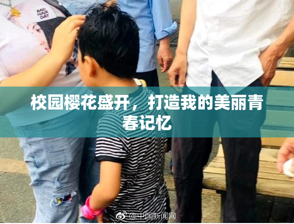 校园樱花盛开，打造我的美丽青春记忆