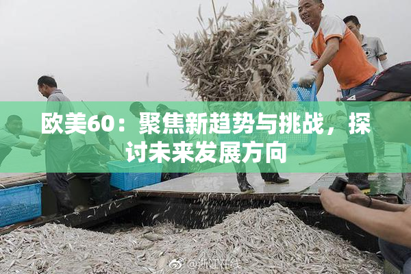 欧美60：聚焦新趋势与挑战，探讨未来发展方向