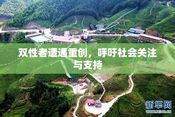 双性者遭遇重创，呼吁社会关注与支持