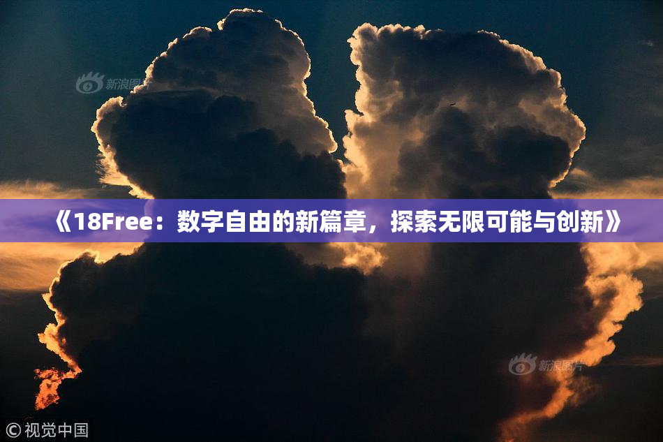 《18Free：数字自由的新篇章，探索无限可能与创新》