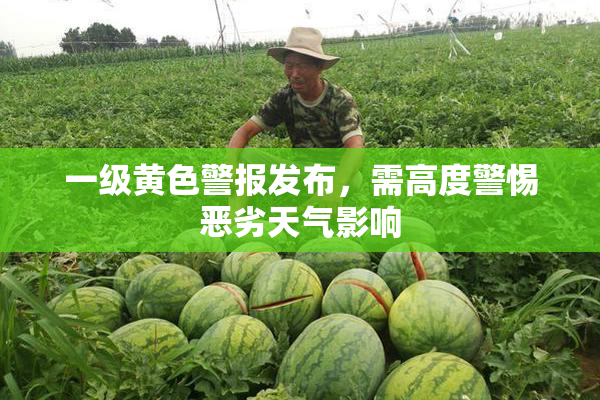 一级黄色警报发布，需高度警惕恶劣天气影响