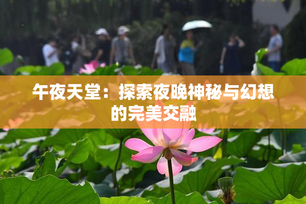 午夜天堂：探索夜晚神秘与幻想的完美交融