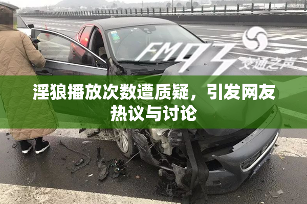 淫狼播放次数遭质疑，引发网友热议与讨论