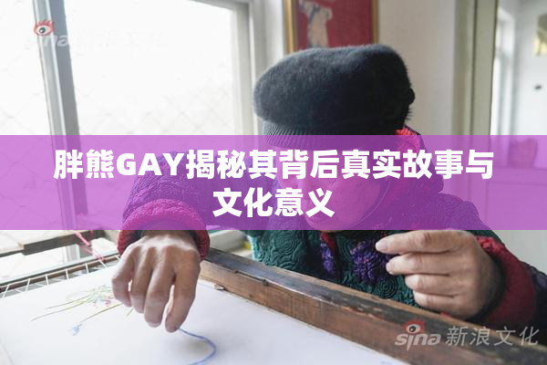 胖熊GAY揭秘其背后真实故事与文化意义
