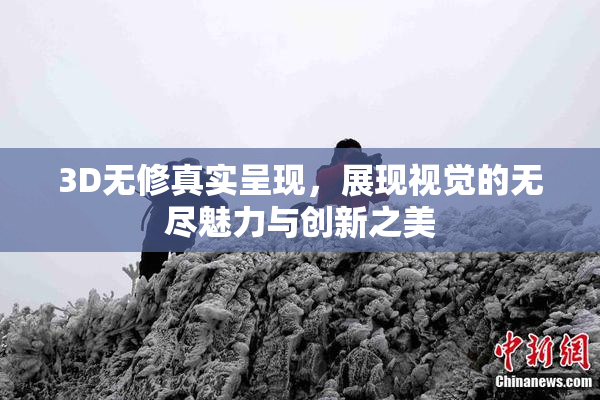 3D无修真实呈现，展现视觉的无尽魅力与创新之美