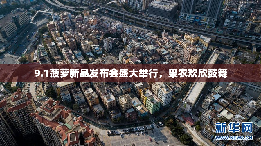 9.1菠萝新品发布会盛大举行，果农欢欣鼓舞