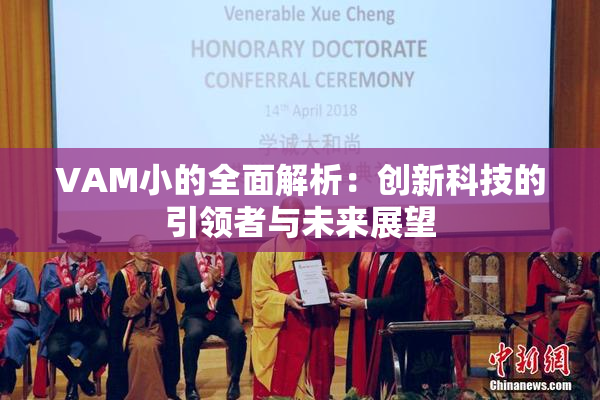 VAM小的全面解析：创新科技的引领者与未来展望