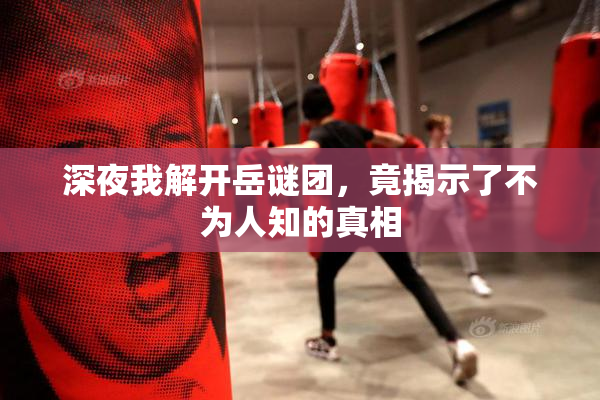 深夜我解开岳谜团，竟揭示了不为人知的真相