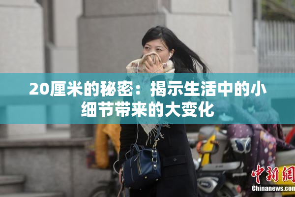 20厘米的秘密：揭示生活中的小细节带来的大变化
