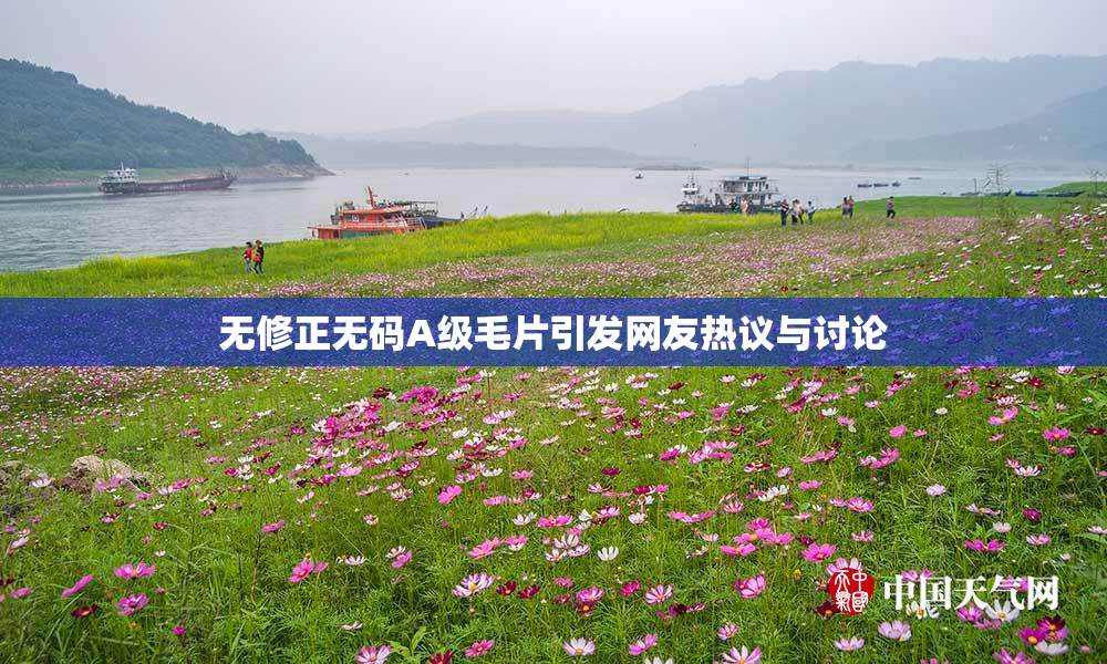 无修正无码A级毛片引发网友热议与讨论