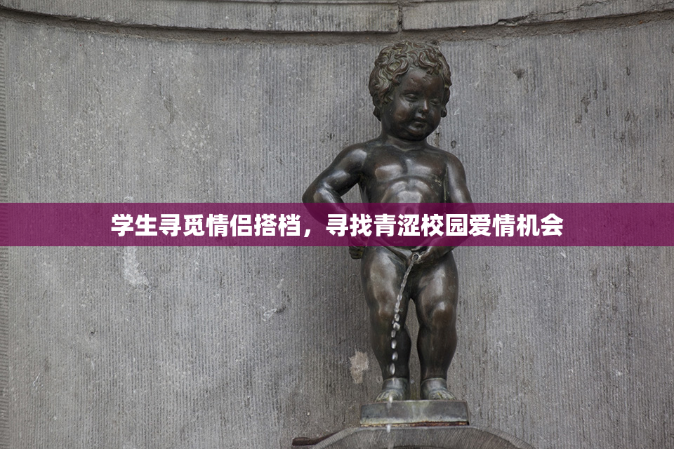 学生寻觅情侣搭档，寻找青涩校园爱情机会