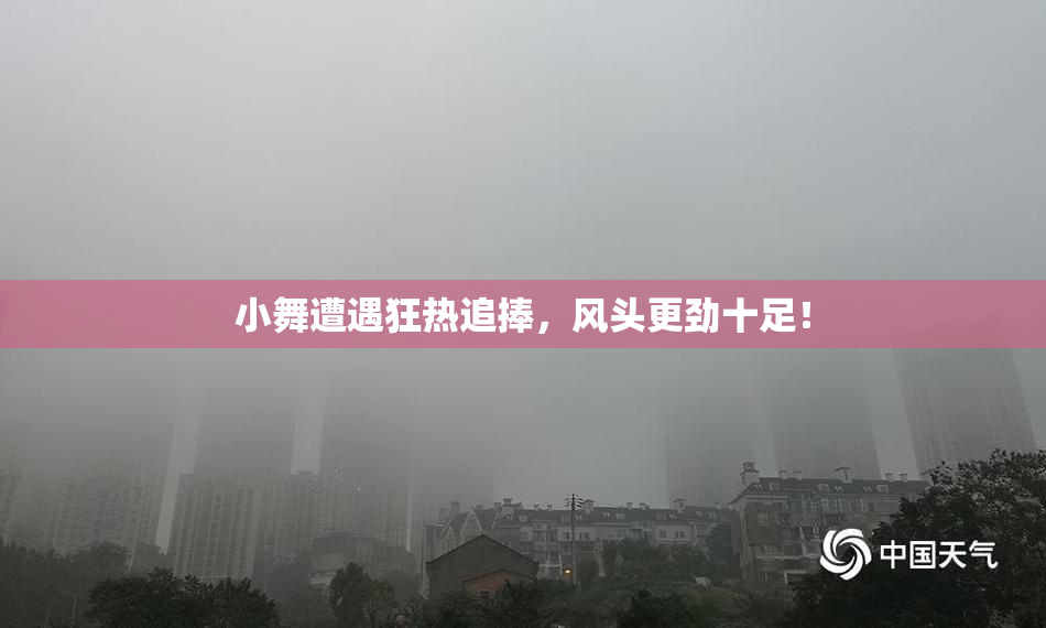 小舞遭遇狂热追捧，风头更劲十足！