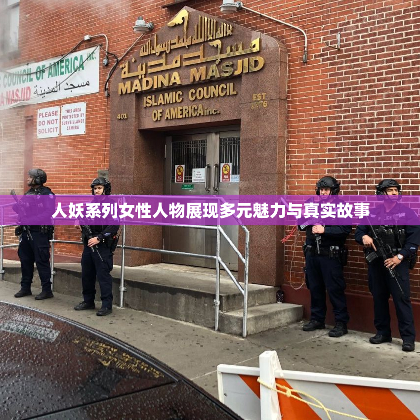 人妖系列女性人物展现多元魅力与真实故事