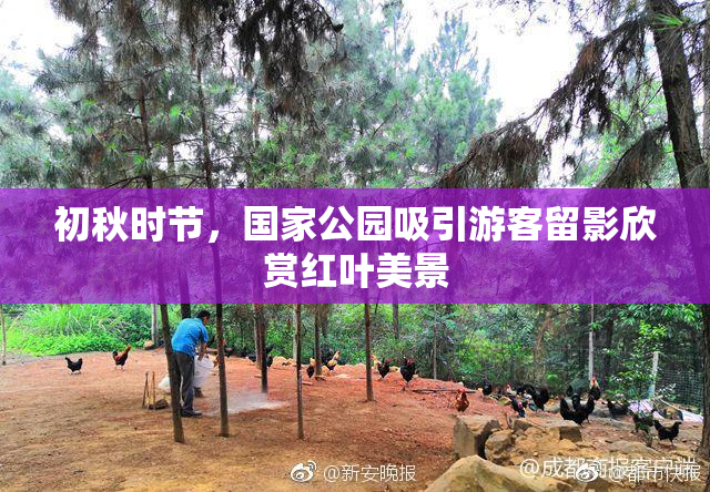 初秋时节，国家公园吸引游客留影欣赏红叶美景