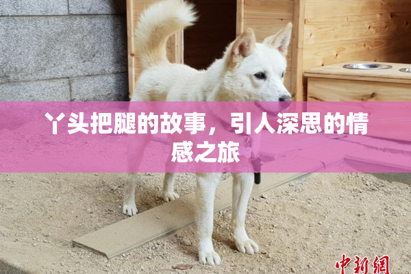 丫头把腿的故事，引人深思的情感之旅