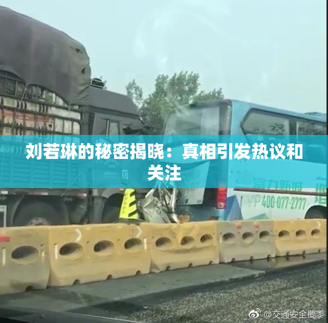 刘若琳的秘密揭晓：真相引发热议和关注